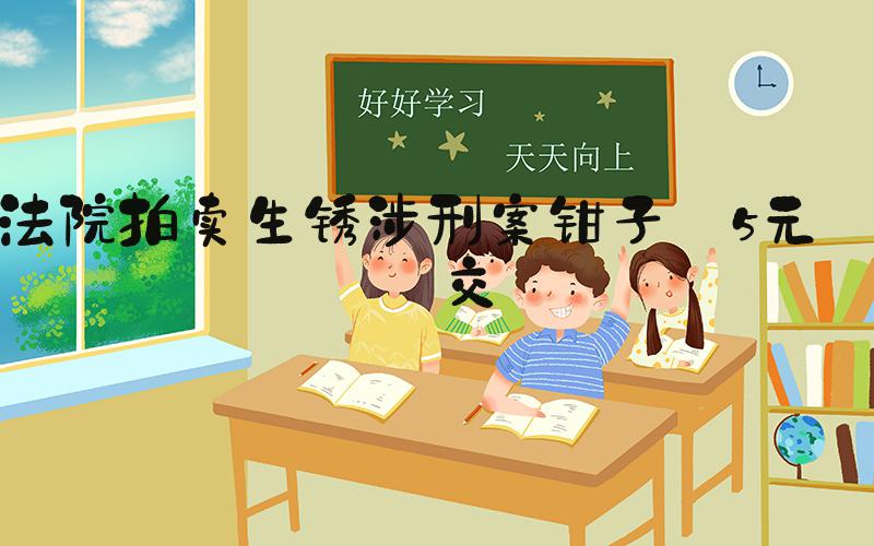 法院拍卖生锈涉刑案钳子 5元成交